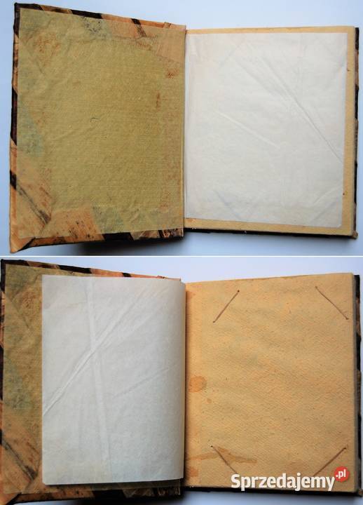 Album 20 foto naturalny botaniczny drewno Lublin