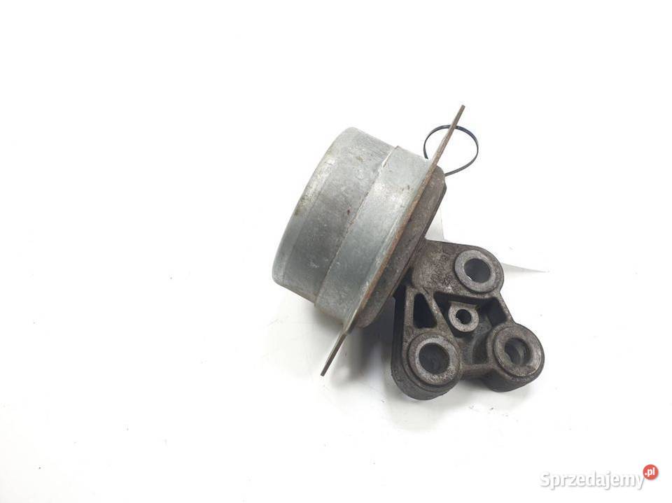 MOCOWANIE SILNIKA OPEL SIGNUM kujawsko-pomorskie Lipno