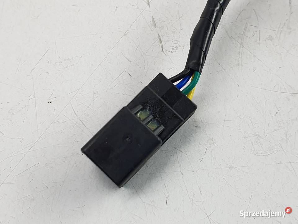 Kosrtka Wtyczka Wiazka Instalacja Triumph Speed