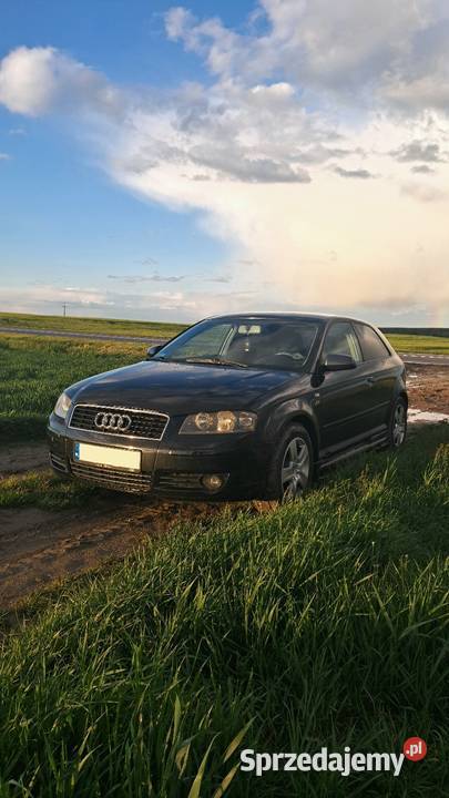 Sprzedam Audi a3 A3 lubelskie Chełm