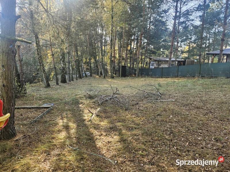 Syndyk sprzeda udział w działce Wincentowo