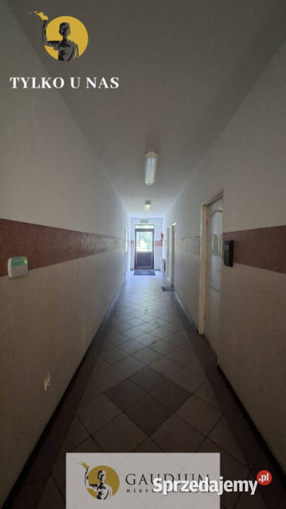 wynajmu lokalu 12m Tczew