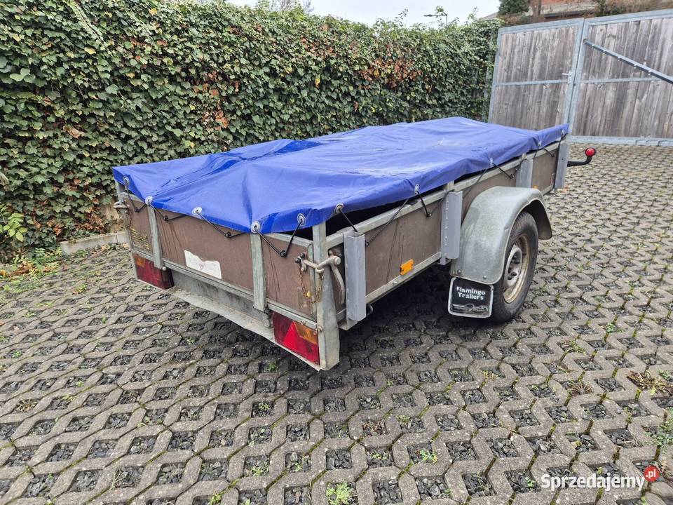 Przyczepa Flamingo Saris lekka 750 25x125m Drogobycza