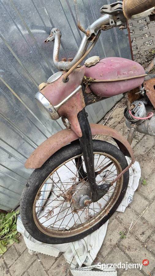 Komar sztywniak Rok produkcji 1969 Hryniewicze