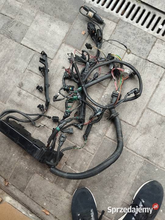 Wiązki silnika n42b20 n42b18 N46 BMW E46 osobowe Części samochodowe Leżajsk