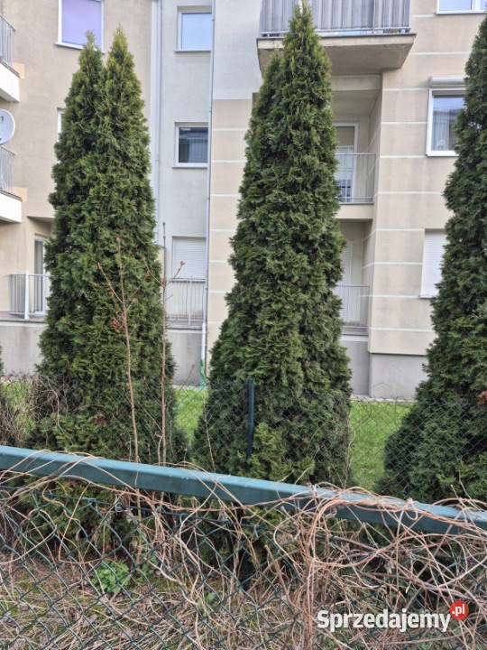 MIESZKANIE PIĄTKOWO Poznań