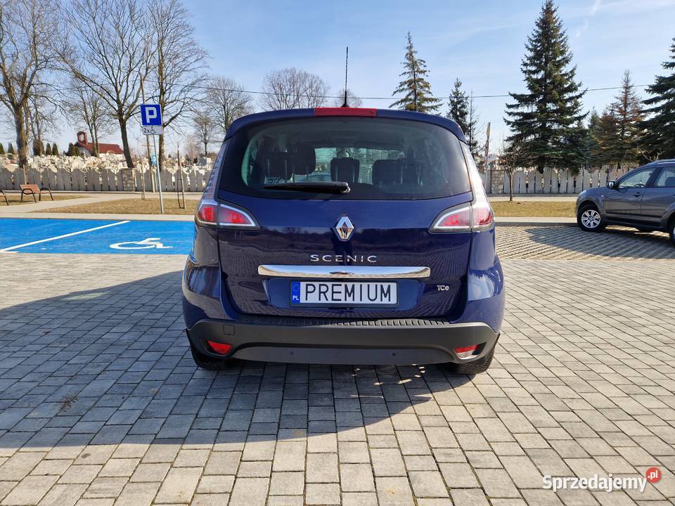 Renault Scenic Ogrodzieniec