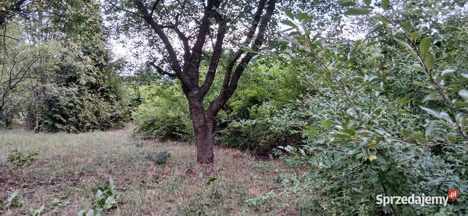 Sprzedam działkę budowlaną