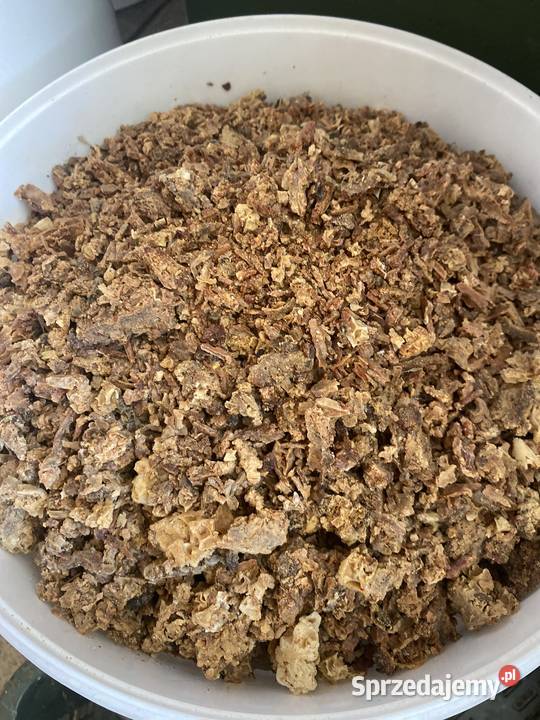 Oferujemy najwyższej jakości miód wielokwiatowy Bialskie Pole