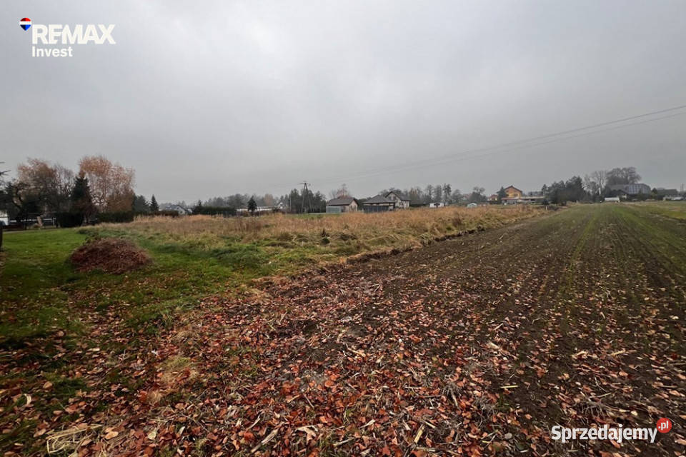 Zaborze Chybie Najtańsza działka budowlana Sprzedaż sprzedam