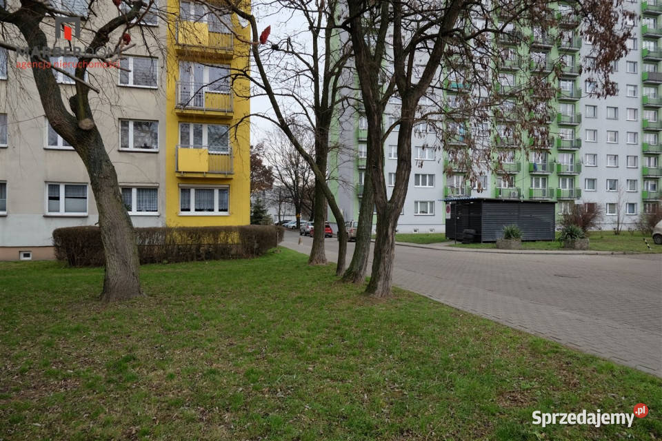 wynajmu mieszkania 50 metrów 2 pokoje Bytom