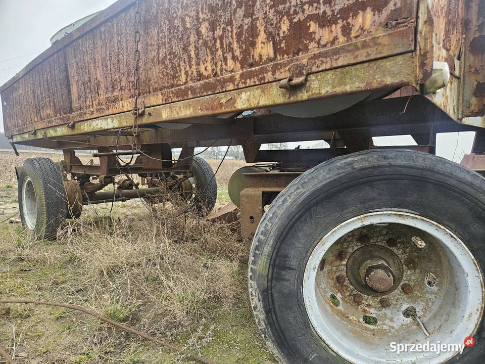 Przyczepa hl 6011 nie autosan brandys pronar Przyczepy rolnicze Pleszew