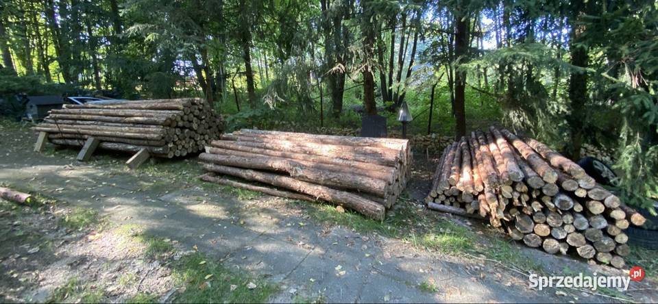 Stemple budowlane różne długości 23m 29m Drewno budowlane śląskie Kroczyce sprzedam