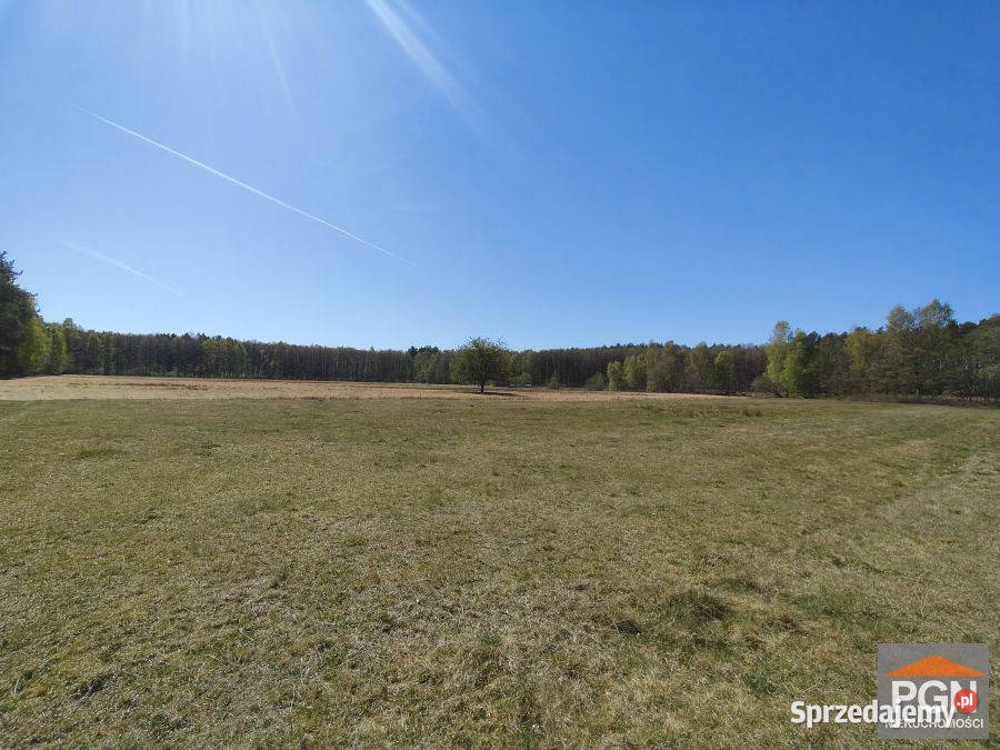 Grunt sprzedam 3005m2 Gostyń zachodniopomorskie