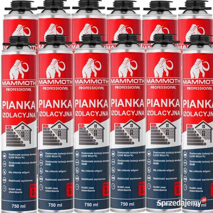 Izolacja natryskowa piana pur pianka Termiczna Szczecin sprzedam