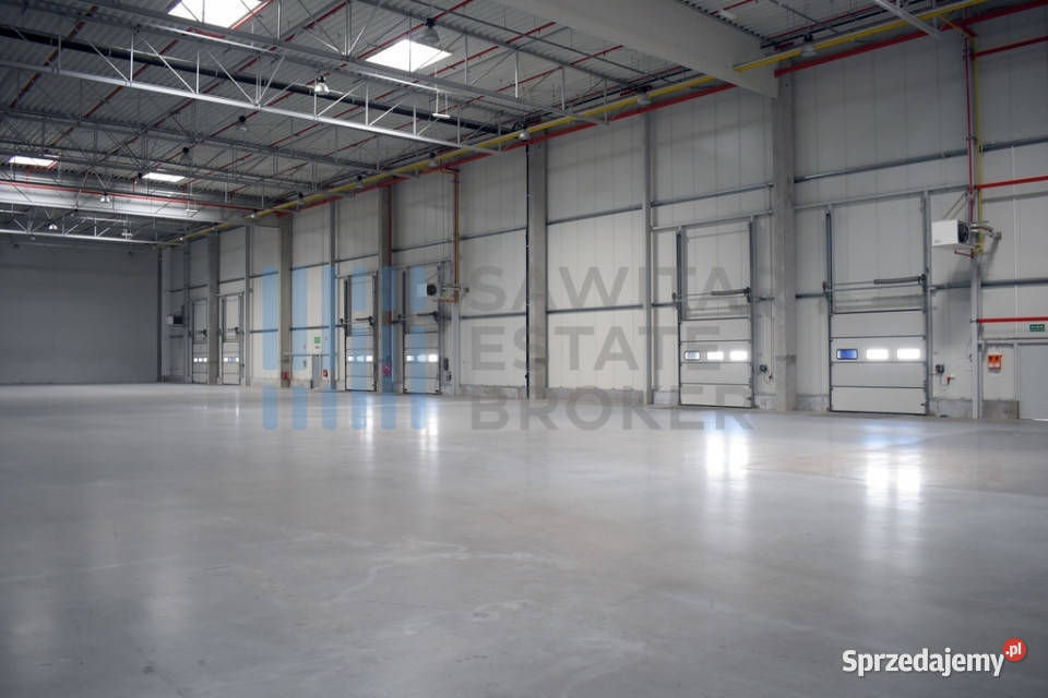 Hala klasyA Dąbrówka bez prowizji Wynajem Mirków