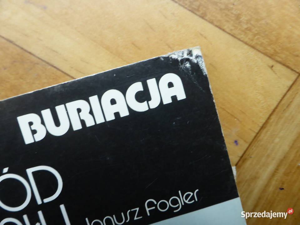 Globus Abchazja i Buriacja miękka Mapy i przewodniki Głuchołazy