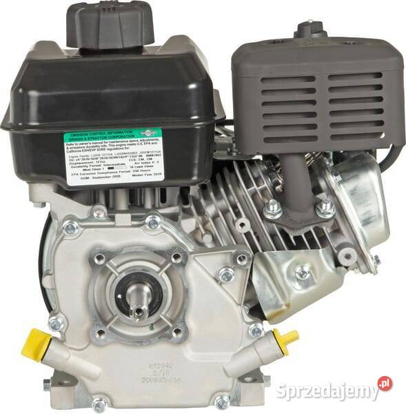 Silnik wał poziomy 35 550 jednocylindrowy Briggs Kamionna