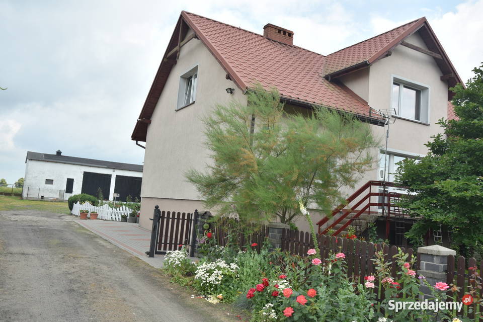 Dom zabudowania gospodarcze magazynowe mieszkalny Wymokłe