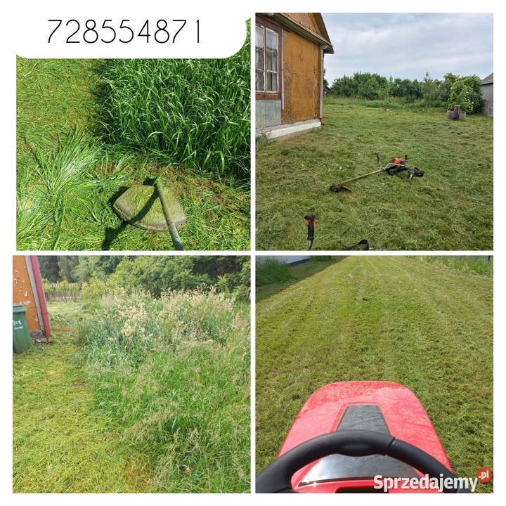 KOSZENIE TRAWY RYKI