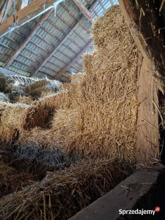 Siano i Słomę w kostkach sprzedam zbiór 2025 Kielnarowa