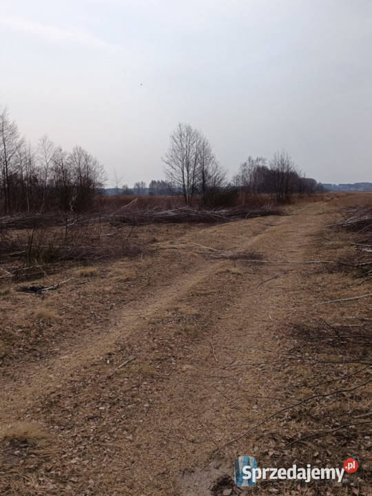 Grunt 30746m2 Karolew 30746m2 Sprzedaż Nieruchomości mazowieckie