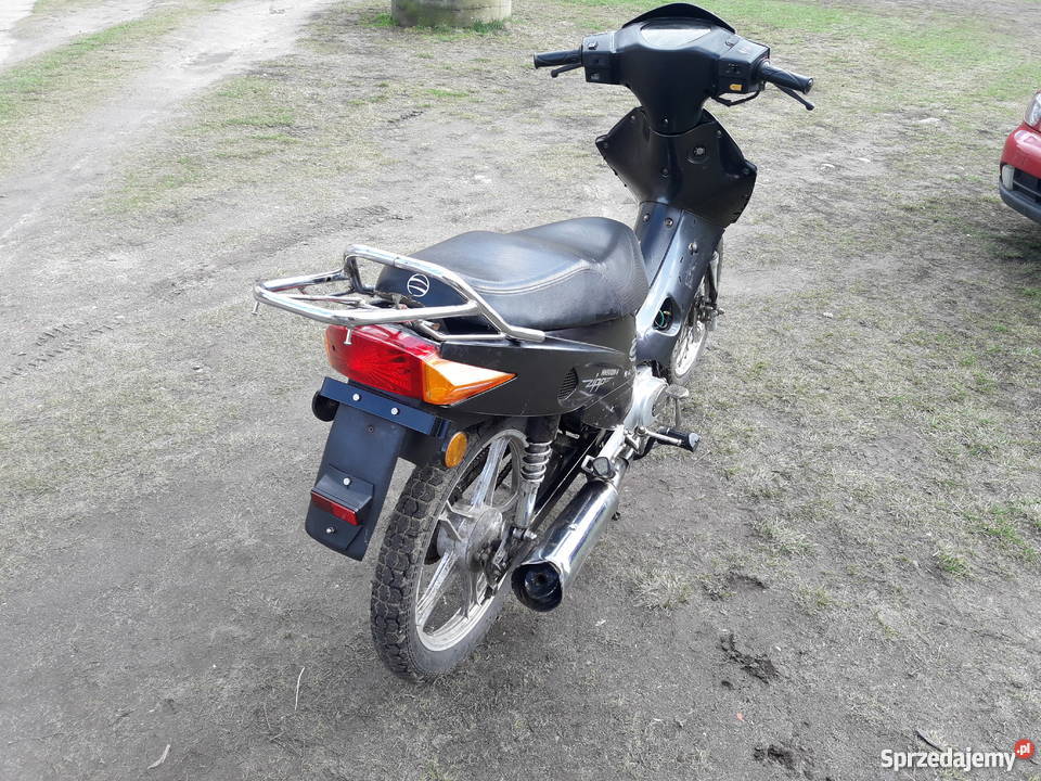 Zipp salmo zachodniopomorskie