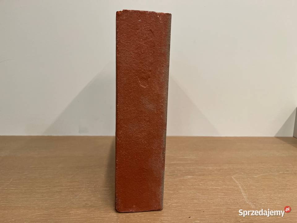 Klinkierowa kostka brukowa Ryn