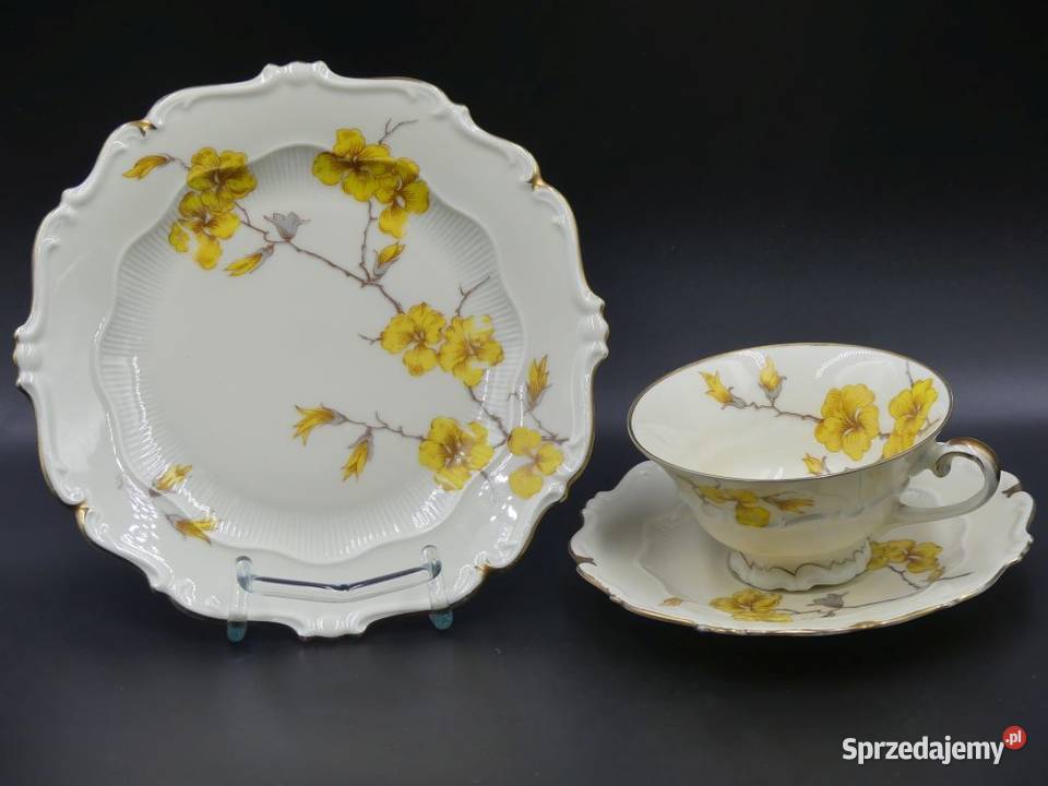 Komplet śniadaniowy Sorau Żary Forsycja stan Porcelana i szkło Poznań