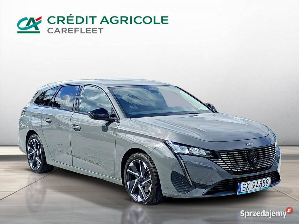 Peugeot 308 15 BlueHDi 130 Allure Pack Salon 308