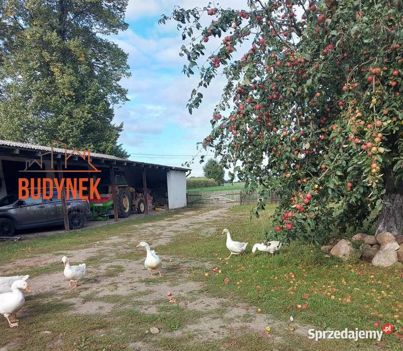 Gospodarstwo rolne Sławno 490000m2
