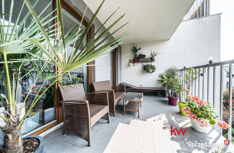 Mieszkanie 75m2 3pok Poznań Liczba pokoi 3