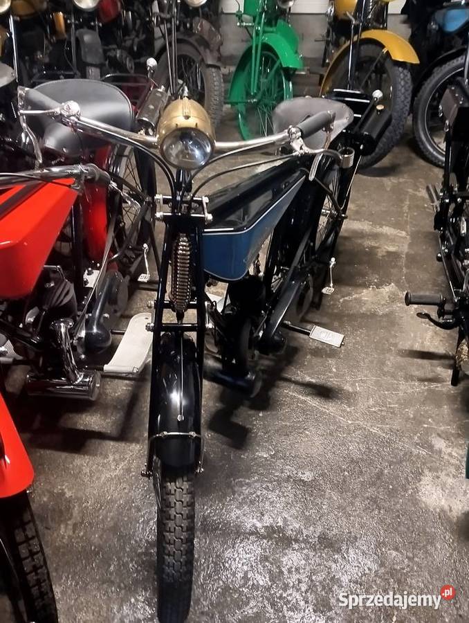 Monet goyon nieuszkodzony Gostycyn