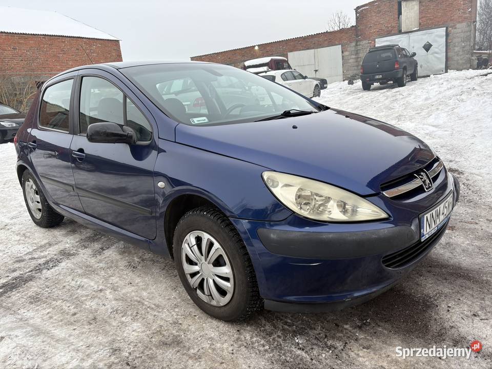 Peugeot 307 1616v zadbany niebieski Nowe Miasto Lubawskie