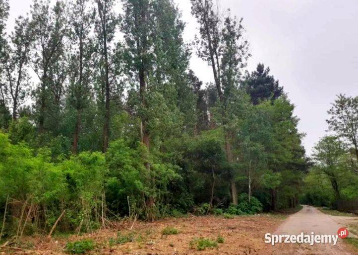 Działka budowlana drodze asfaltowej RATY Borzymów