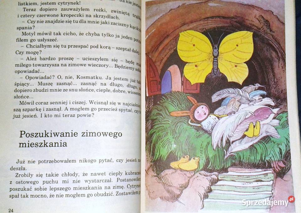 Kosmatek ze starej wierzby Hanna Zdzitowiecka Chełm