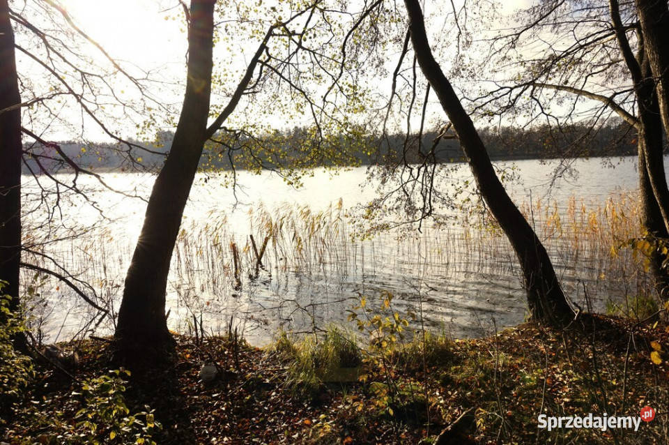 Działka z linią brzegową jeziora warmińsko-mazurskie Ruś Mała