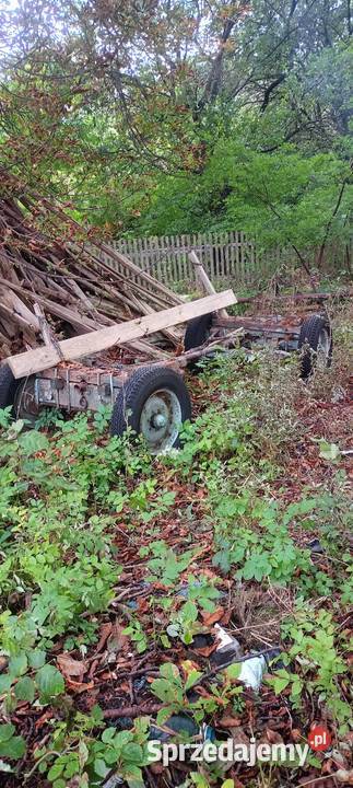 Wozy konne i przyczepka Jelenia Góra