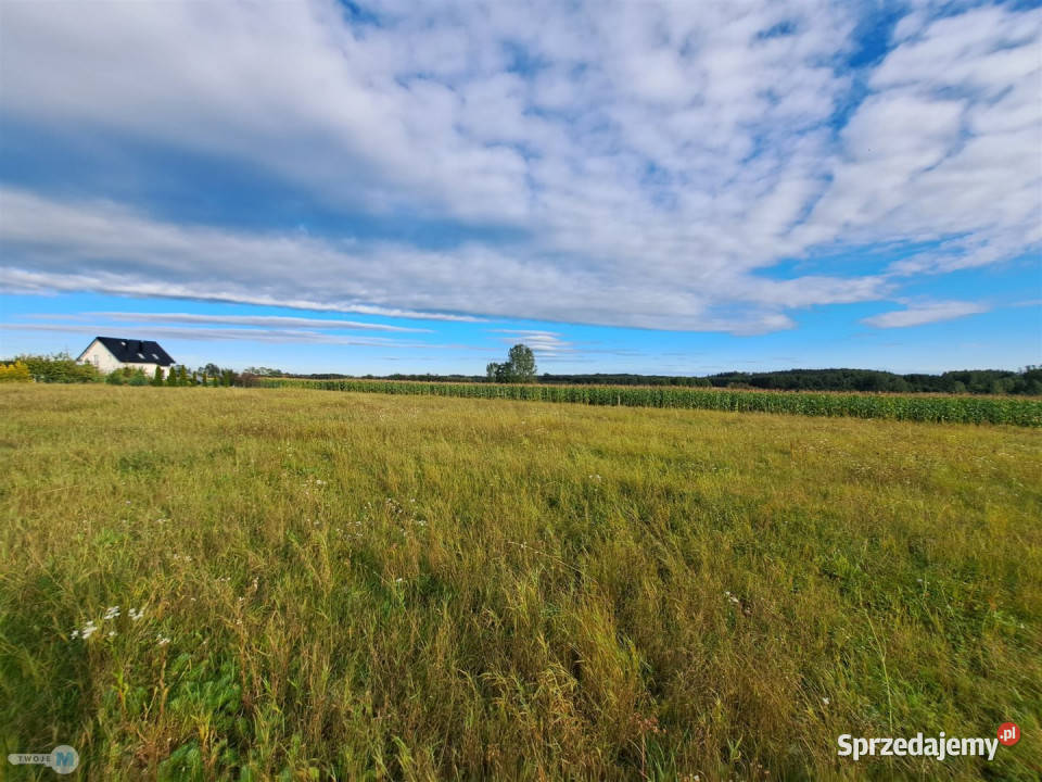 Ogłoszenie działka Pierzchnica 6600m2 sprzedam