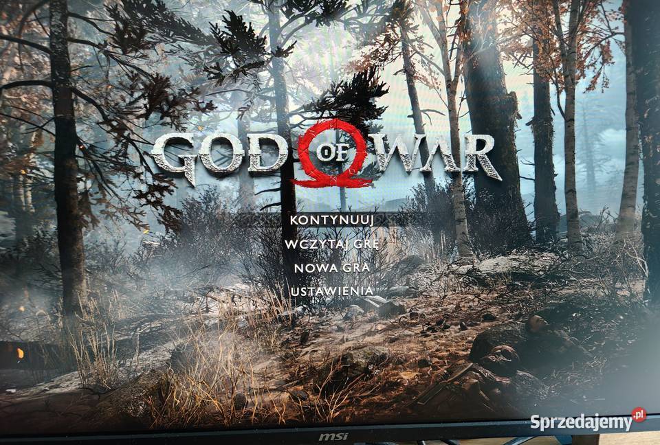 PlayStation 4 Pro CUH7216B Stan igła super