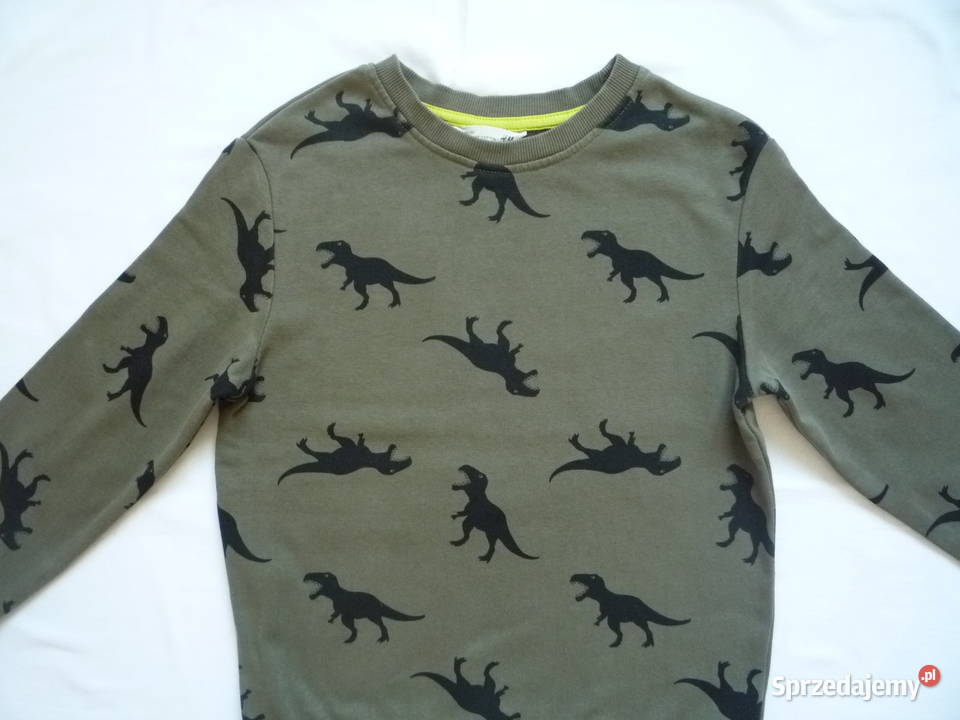 HM 122128 Zielona bluza w Dinozaury zachodniopomorskie Szczecin