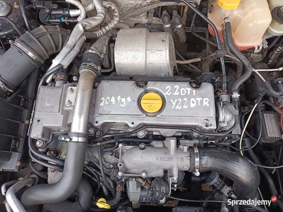 Silnik 22 DTI 125 Opel Konin