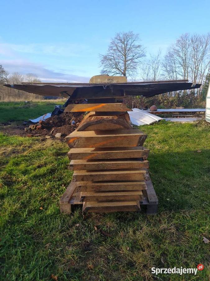 Monolity dębowe i plastry dębowe pomorskie