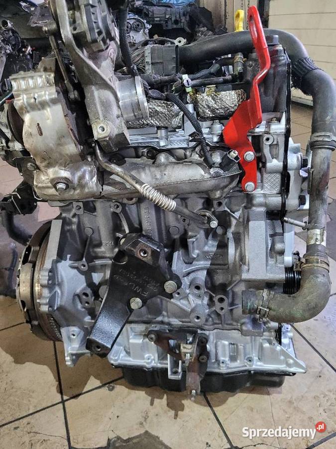 Motor FORD TRANSIT 20 ECOBLUE BLFB BLRA YNR6