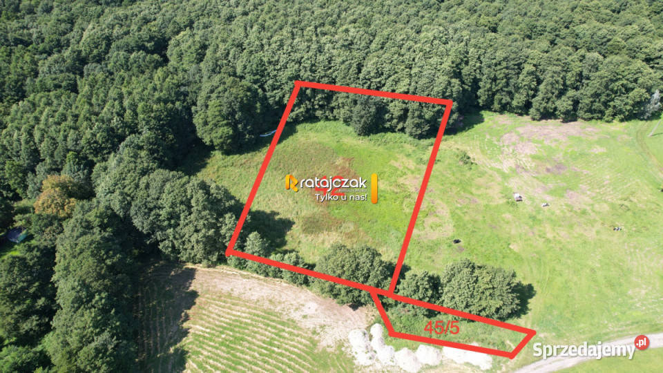 Grunt Krynica Morska Wiejska 3532m2 82m Sprzedaż