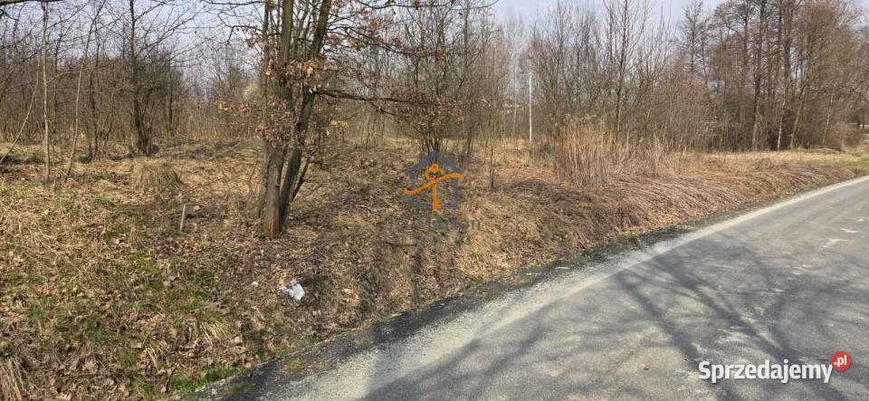 Działka 2847m2 Marcyporęba