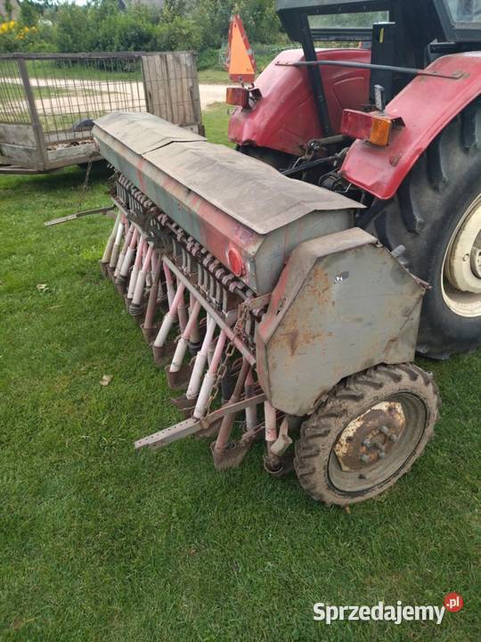 Sprzedam poznaniak Sokółka