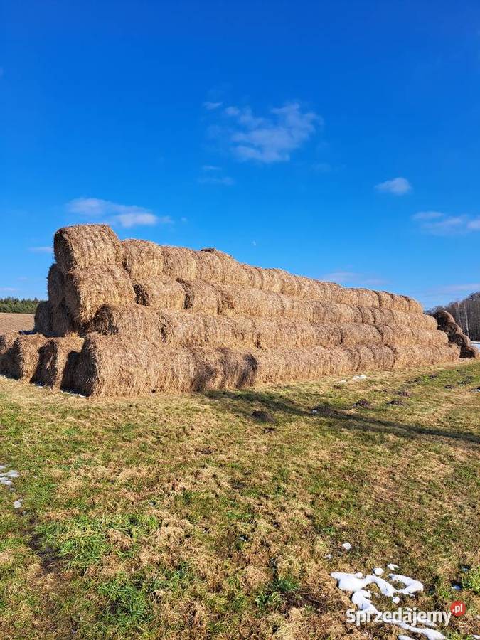 Sprzedam Słomę siano kiszonkę