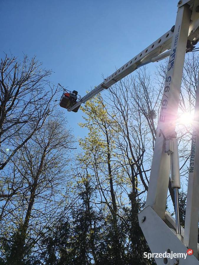 Wynajem Podnośnik Koszowy Zwyżka 20m Iveco Bielsko-Biała wynajem