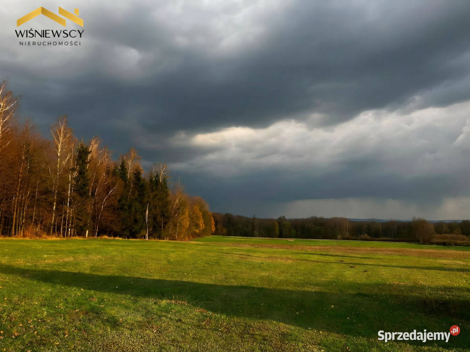 Działka 163 ha rezerwacie Lenki Dawidy polna Sprzedaż Sprzedaż warmińsko-mazurskie
